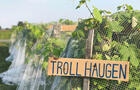 Vignoble du Vent Maudit - 2&nbsp;&nbsp;&nbsp;&copy; Vignoble du Vent Maudit