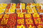 Tomates