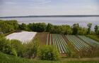 Notre vue sur le St-Laurent&nbsp;&nbsp;&nbsp;&copy; N.Langlois