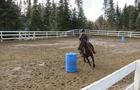 Équitation&nbsp;&nbsp;&nbsp;&copy; Ranch Ladouceur