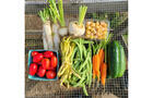 Légumes frais