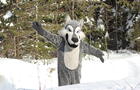 Mascotte Loupie&nbsp;&nbsp;&nbsp;&copy; M.Robert