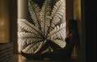 Sauna aux herbes