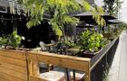 Devanture terrasse