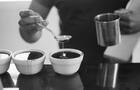 Dégustation de cafés&nbsp;&nbsp;&nbsp;&copy; Le Brûloir