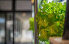 Pôle d'innovation et de recherche&nbsp;&nbsp;&nbsp;&copy; Institut sur la nutrition et les aliments fonctionnels de l'Université Laval