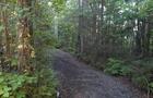 Sentier de marche éclairé&nbsp;&nbsp;&nbsp;&copy; Municipalité de Val-Brillant