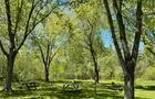 Camping Melbourne Estrie&nbsp;&nbsp;&nbsp;&copy; Camping Melbourne Estrie