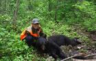 Chasse à l'ours noir