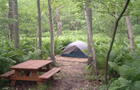 Site de camping