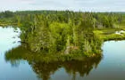 Lac des Robin_2&nbsp;&nbsp;&nbsp;&copy; D.Racine