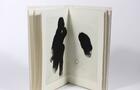 Livre d'artiste Hervé De Fontenay et Marc Garneau&nbsp;&nbsp;&nbsp;&copy; Atelier-Galerie A. Piroir