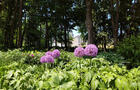 Parc et jardins urbains&nbsp;&nbsp;&nbsp;&copy; History and Nature/