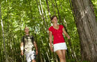 Parc national de la Yamaska&nbsp;&nbsp;&nbsp;&copy; Parc national de la Yamaska / SEPAQ