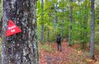 Mont Scotch Cap&nbsp;&nbsp;&nbsp;&copy; Nadeau Photo Solution