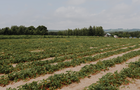 Ferme La Ricardière&nbsp;&nbsp;&nbsp;&copy; Ferme La Ricardière