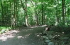 Sentier principal&nbsp;&nbsp;&nbsp;&copy; Ville de Westmount