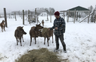 Ferme Le Sabot d'Or en hiver&nbsp;&nbsp;&nbsp;&copy; A.Caron