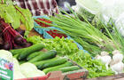 Marché public Joliette-4&nbsp;&nbsp;&nbsp;&copy; YSABELLE FOREST