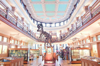 Museums and historic sites