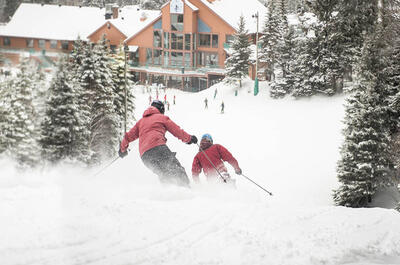 Alpine skiing and snowboarding