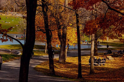 Regional and municipal parks