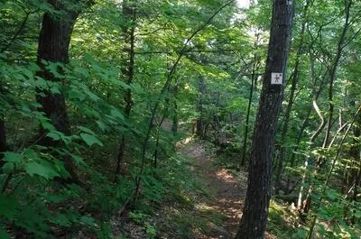 Sentiers du parc des Chutes de Denholm