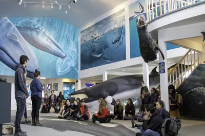Mingan Island Cetacean Study (MICS) Visitor Centre