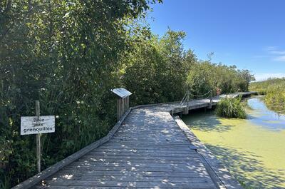 Lake Saint-François National Wildlife Area
