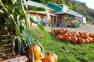Les Jardins du Centre inc.