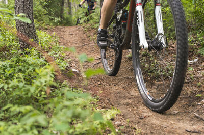 La Forêt récréative de Val d’Or