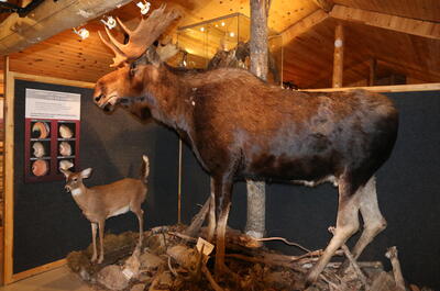 Parc des Chutes-de-la-Petite-Rivière-Bostonnais