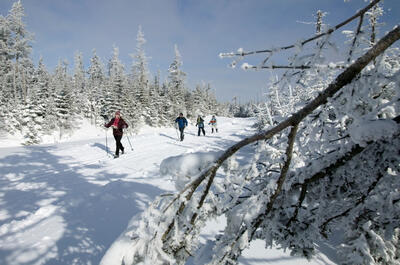 Club de ski de fond La Tuque Rouge