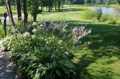 Club de golf Canton