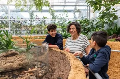 Montréal Space for Life – Insectarium