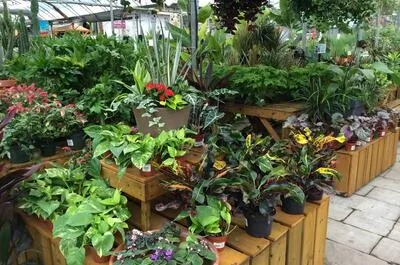 Jardin Dion inc.