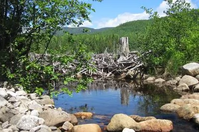 La Traversée de Charlevoix