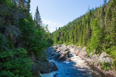 Sentier pédestre du Lac Kénogami