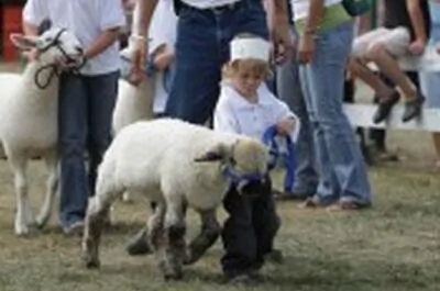 Brome Fair