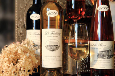 Vignoble du Faubourg