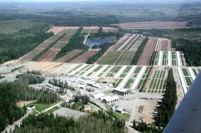 Pépinière forestière de Trécesson