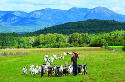 Charlevoix’s Flavour Trail