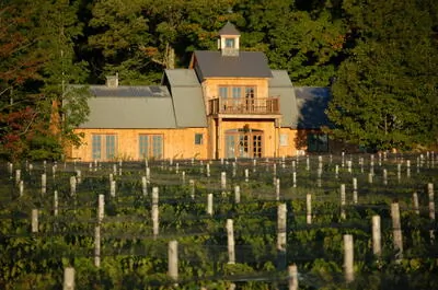 Vignoble Courville