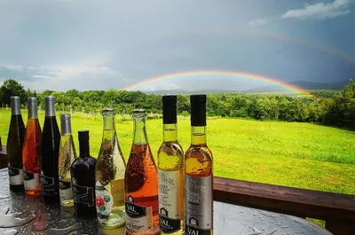 Val Caudalies Vineyard and Cider Estate