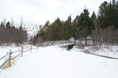 Les sentiers de la Forêt habitée de Dudswell