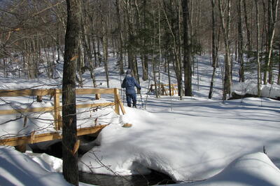 Réserve naturelle des Montagnes-Vertes – Secteur Singer