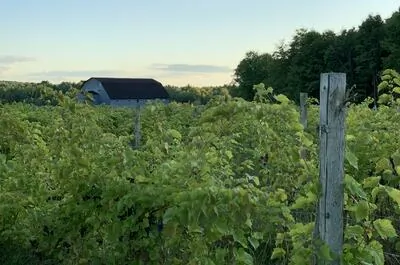 Bromont Winery – Lodge & Shop