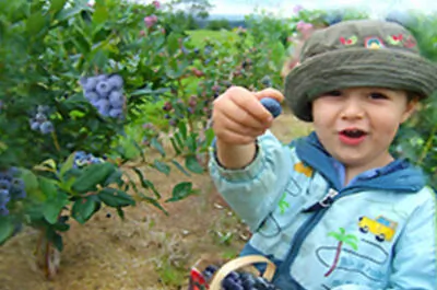 Le Repaire Bleu fruité