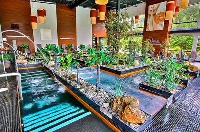 Noah Spa (Scott)