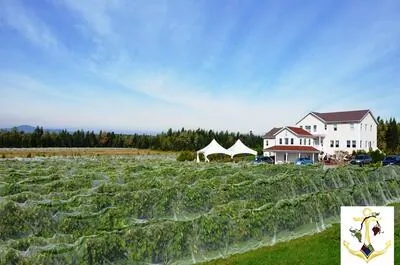 Vignoble Chemin de la Rivière